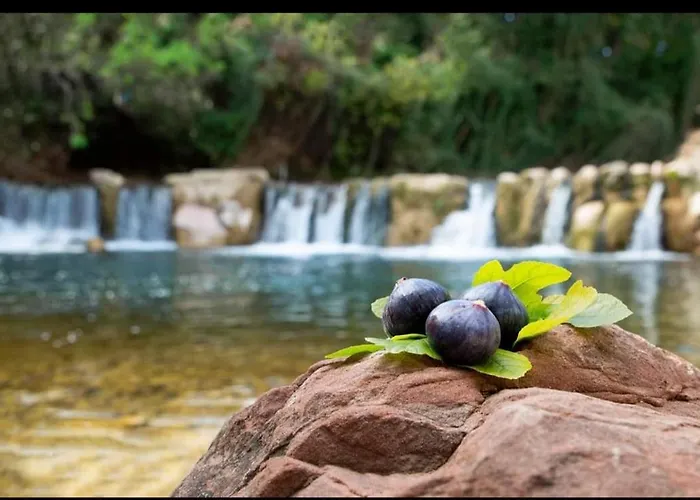Mobile-home Climatisé Dans Avec Piscine Jusqu'à 6 Personnes *